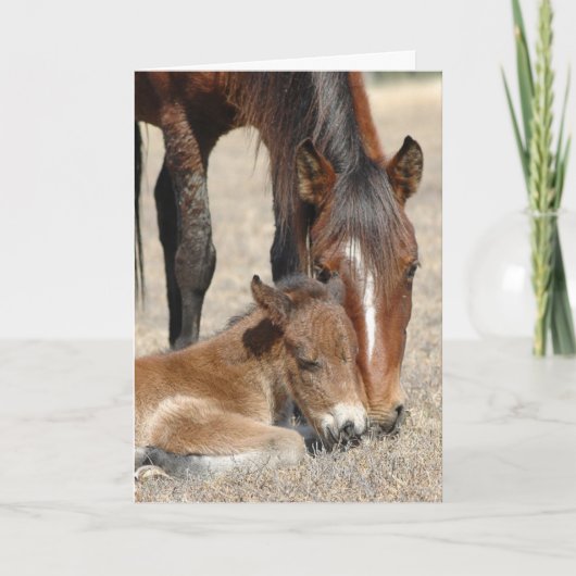 マーレ・ウィズ・子馬 カード (正面)