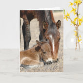 マーレ・ウィズ・子馬 カード (黄色い花)