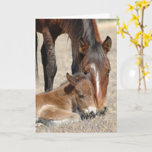 マーレ・ウィズ・子馬 カード (黄色い花)