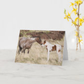 マーレ(子馬) カード (黄色い花)