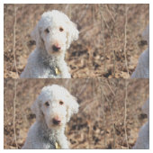 マー ファブリック (クローズアップ)