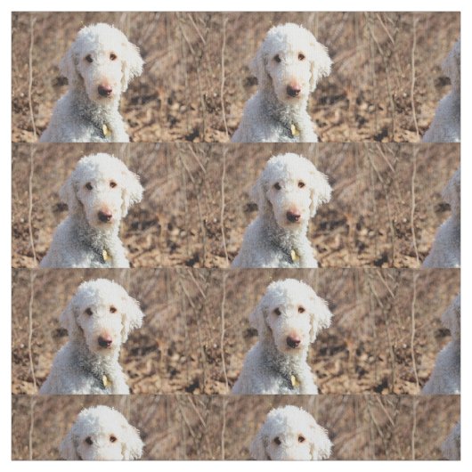 マー ファブリック (見本)