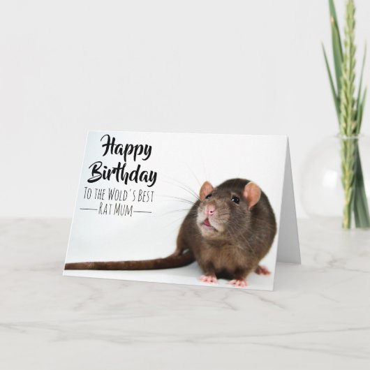 マ最高のム カード (正面)