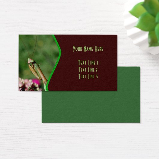 マ祈ンティス虫自然 (デスク)