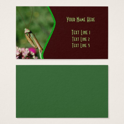 マ祈ンティス虫自然 (正面&裏面)