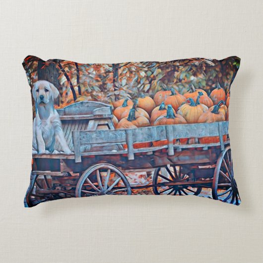 ミアピロー アクセントクッション (正面)