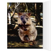 ミイムークカ水彩、ジャンボ誕生日カード (内側(左))