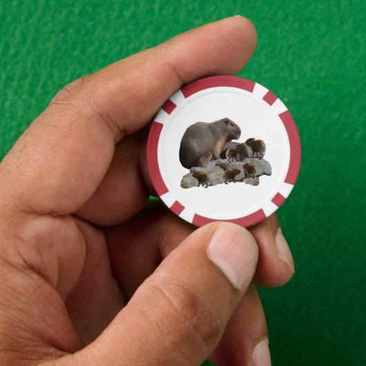 ミイラとベビーのカピバラ ポーカーチップ (手)