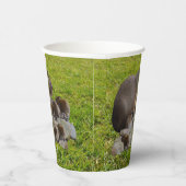 ミイラとベビーのカピバラ 紙コップ (右)