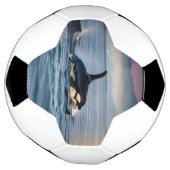 ミイラとベビーは海の中で サッカーボール (回転)
