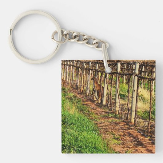 ミイラとベビーオーストラリアのカンガルー キーホルダー (正面)