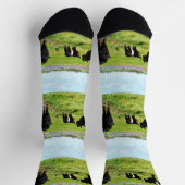 ミイラとベビーガロウェイ牛、クルーソックス ソックス (上部)