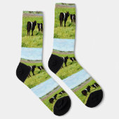 ミイラとベビーガロウェイ牛、クルーソックス ソックス (右)