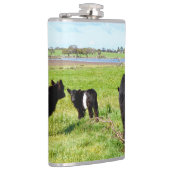 ミイラとベビーガロウェイ牛、スキットル フラスク (右)