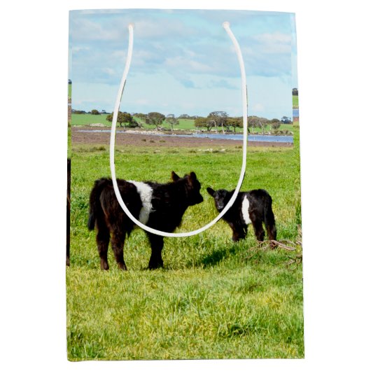 ミイラとベビーガロウェイ牛、抱き枕 ミディアムペーパーバッグ (正面)