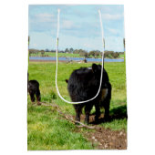 ミイラとベビーガロウェイ牛、抱き枕 ミディアムペーパーバッグ (裏面)