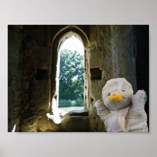 ミイラのダニー・ダック ポスター (正面)