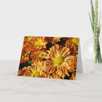 ミイラの単語 カード