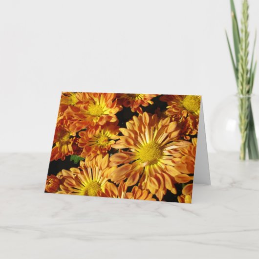 ミイラの単語 カード (正面)