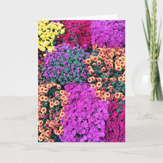 ミイラの最も親愛な挨拶状 カード (正面)