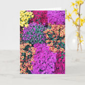 ミイラの最も親愛な挨拶状 カード (黄色い花)