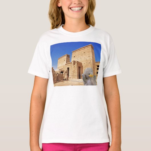 ミイラの脱出 Tシャツ (正面)