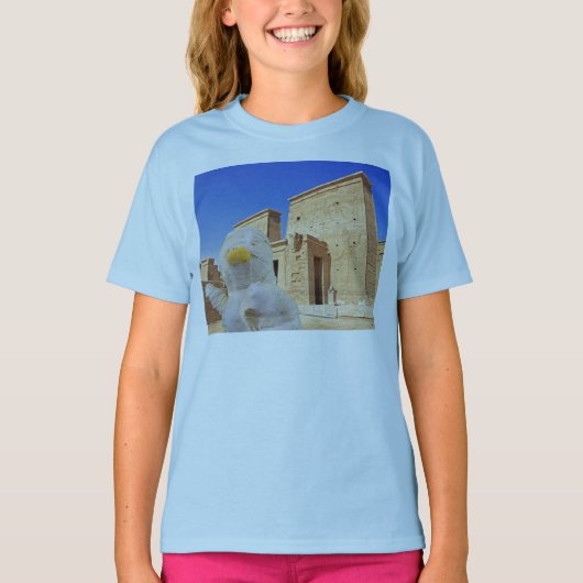 ミイラの脱出 Tシャツ (正面)