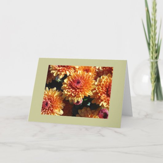 ミイラ カード (正面)