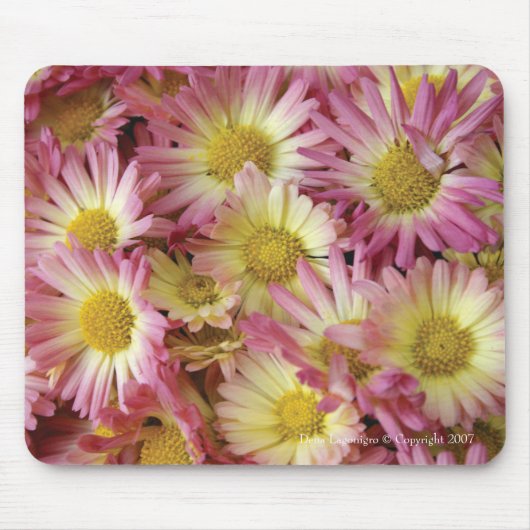 ミイラ マウスパッド (正面)