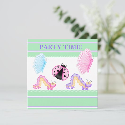 ミイラ 招待状 (スタンド正面)