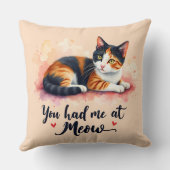 ミウウォーターで飼っていたカリコ猫 クッション (裏面)