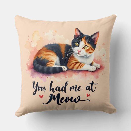 ミウウォーターで飼っていたカリコ猫 クッション (裏面)