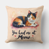 ミウウォーターで飼っていたカリコ猫 クッション (正面)