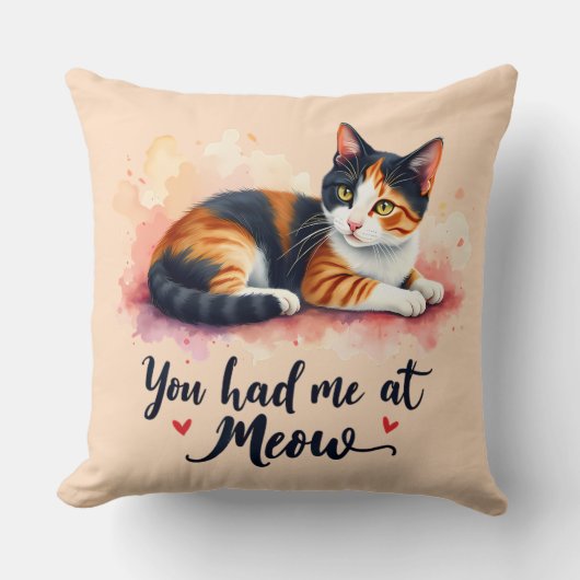 ミウウォーターで飼っていたカリコ猫 クッション (正面)