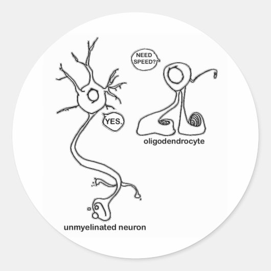 ミエリンプッシャー ラウンドシール (正面)