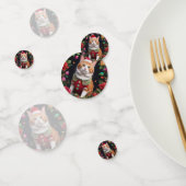 ミオイ コンフェッティ (グループ)