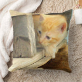 ミオキャッツワンスクエア装飾用クッション クッション (ブランケット)