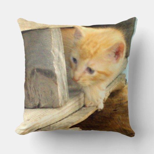 ミオキャッツワンスクエア装飾用クッション クッション (正面)