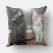 ミオキャッツ32スクエア装飾用クッション クッション (裏面)