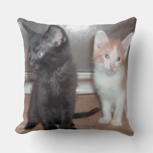 ミオキャッツ32スクエア装飾用クッション クッション (正面)