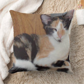 ミオキャッツ39スクエア装飾用クッション クッション (ブランケット)