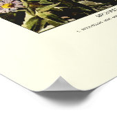 ミカエルマスデイジー ポスター (角)