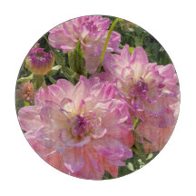 ミカヤラミランダDahlia美しい紫色の花