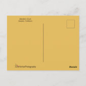 ミカン鴨が水のそばに立つ ポストカード (裏面)