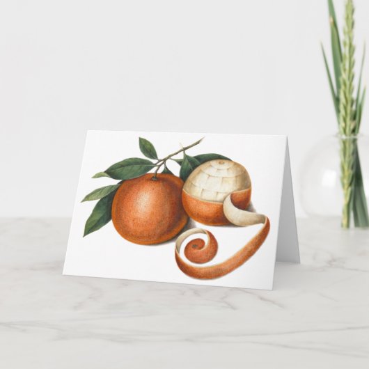 ミカン：アンティーク絵を描の中国 シーズンカード (正面)