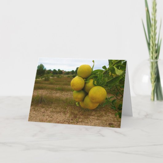 ミカン カード (正面)