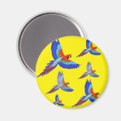 ミキチエスパラロットハワイ夏サンセットビーチ春 マグネット (正面/裏面)