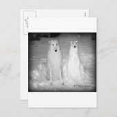 ミクタールと彼のスノードッグ!:) シーズンポストカード (正面/裏面)