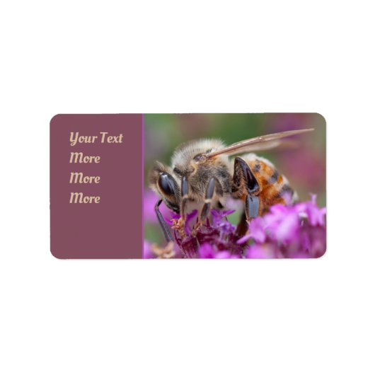 ミクロな視点:ミツバチミツバチの飼育 ラベル (正面)