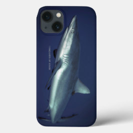 ミクロネシアのヤップ島にいるグレーリーフシャーク iPhone 13ケース